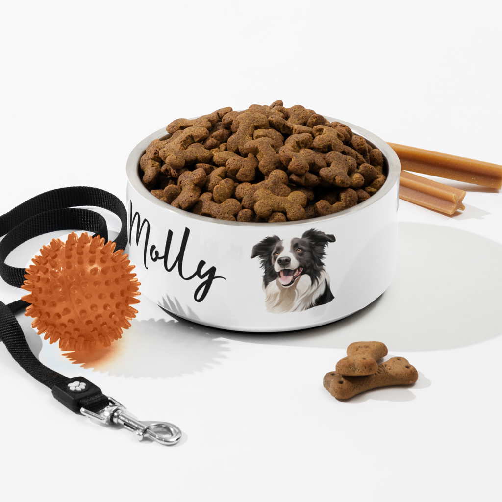 personalized border collie dog bowl