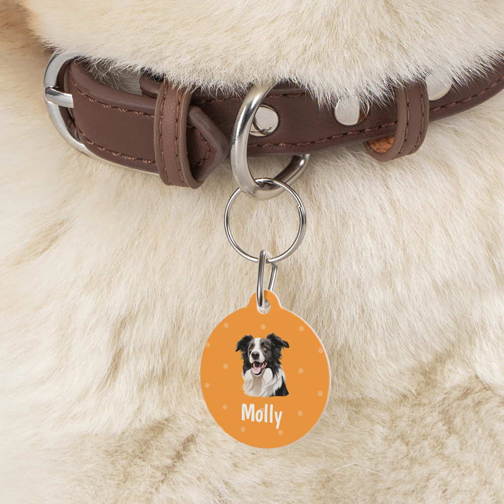 border collie personalized dog tag