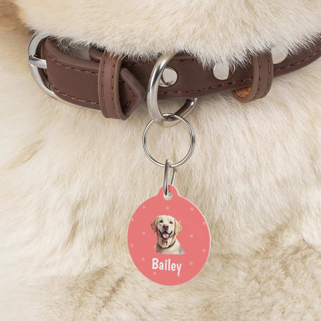 labrador retriever personalized dog tag