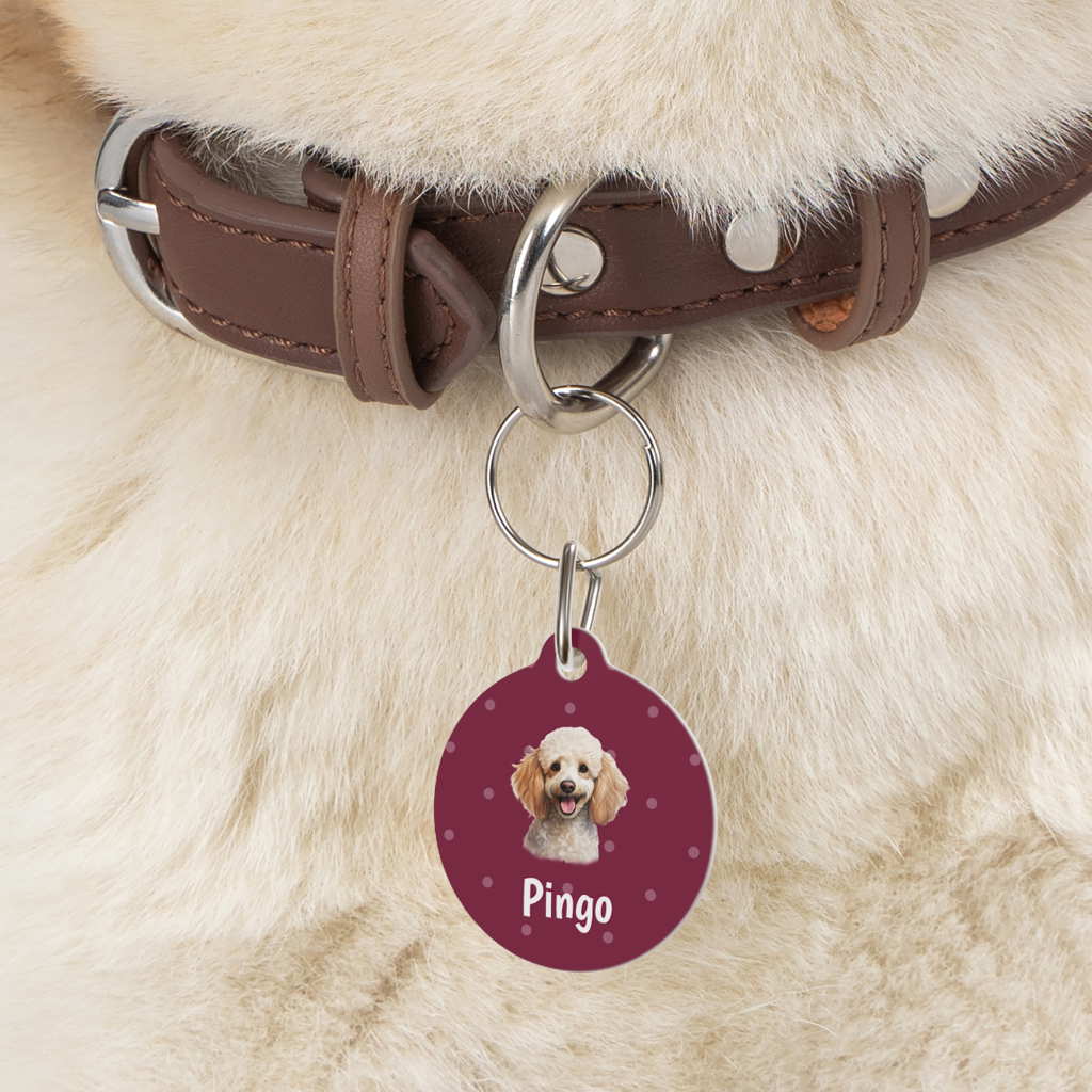 poodle personalized dog tag