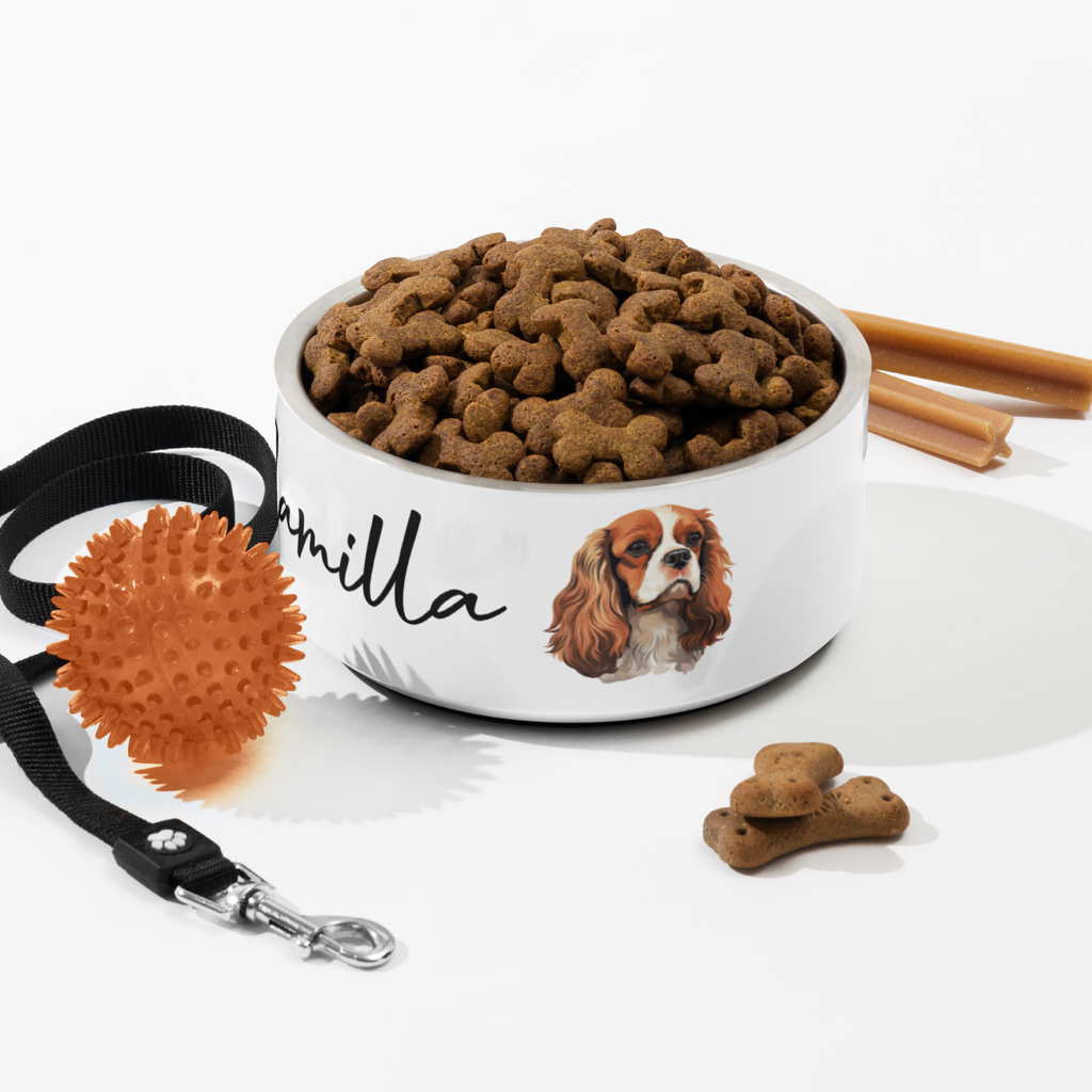 personalized cavalier king charles spaniel dog bowl