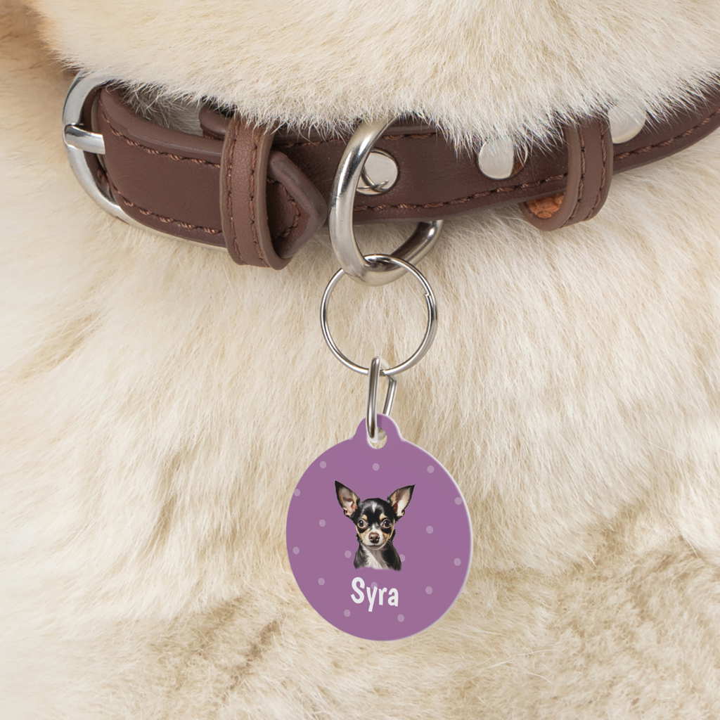 chihuahua personalized dog tag